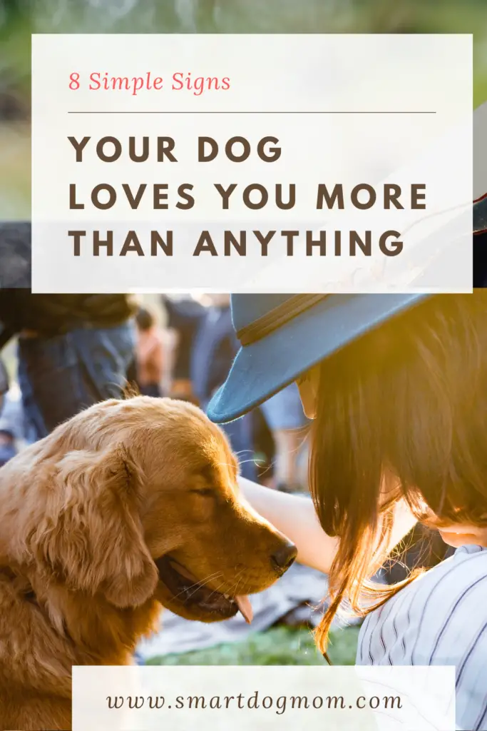 8 Signs Your Dog Loves You More Than Anything