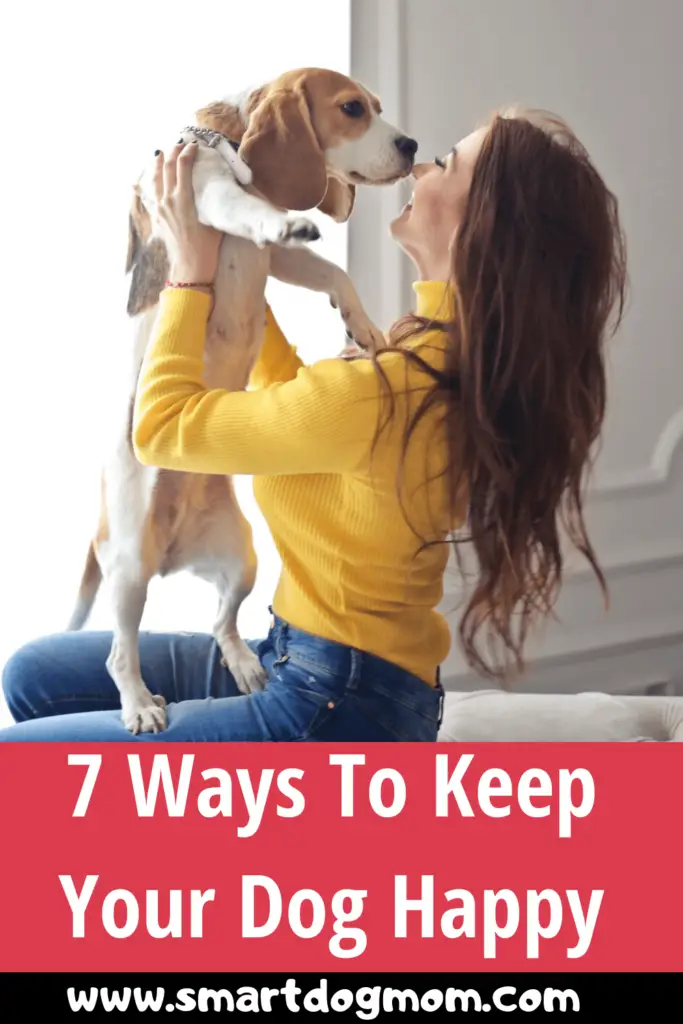 how to make dog happier
