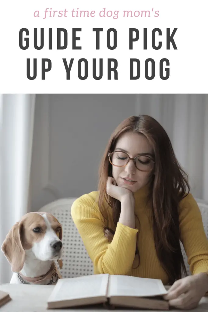 how to pick up dog