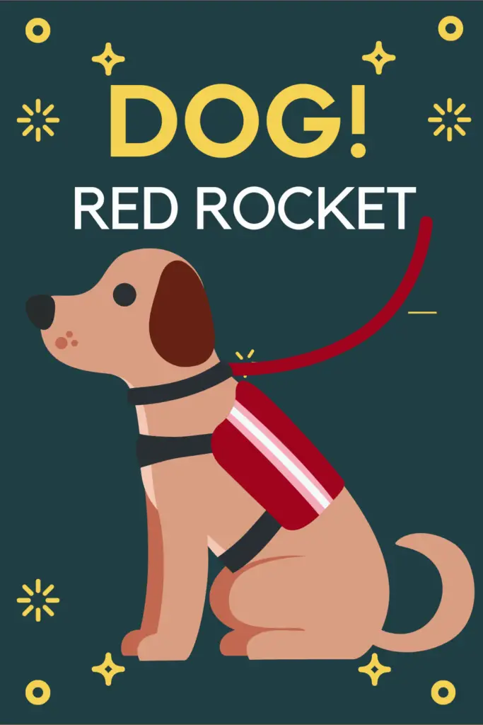 dog red rocket