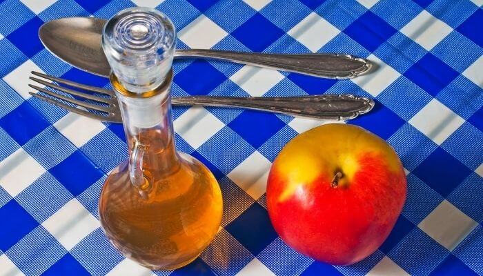 Apple cider vinegar for deworming puppy 