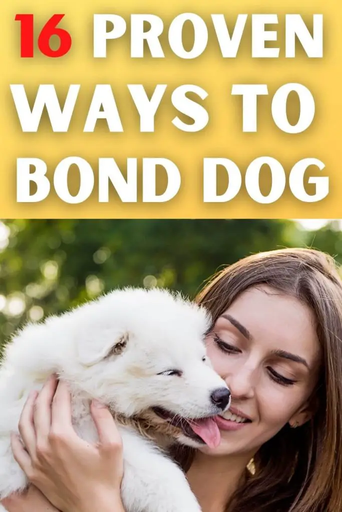 how to bond with your dog