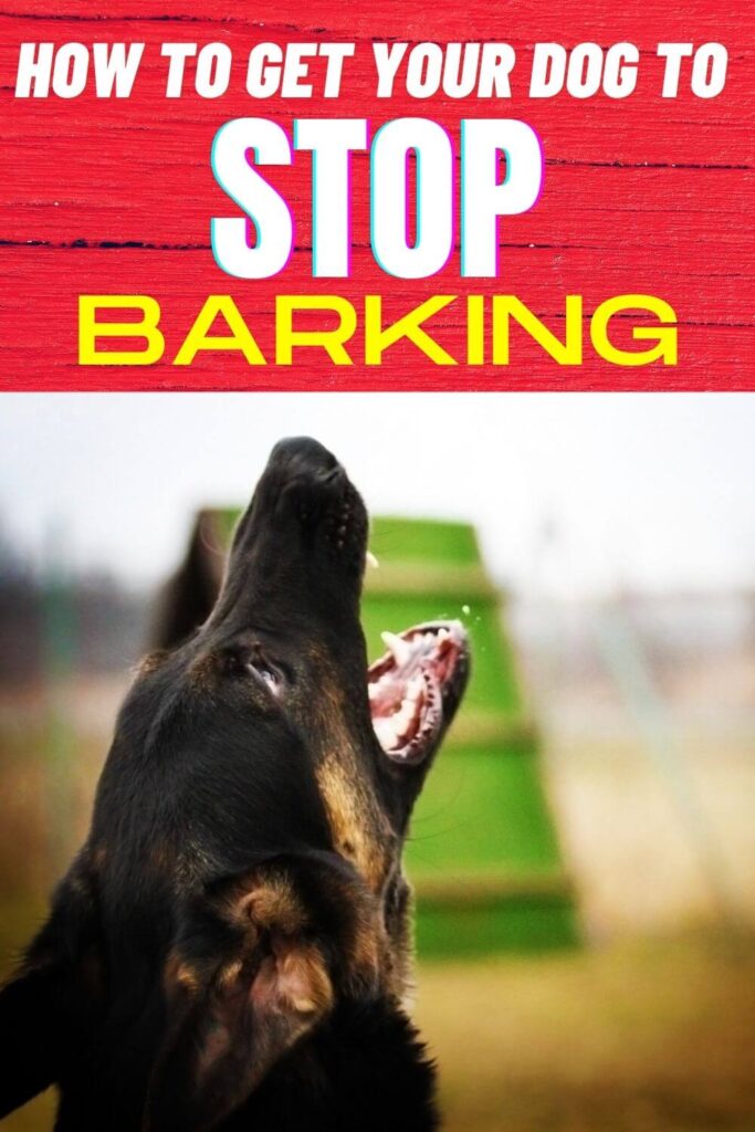 how to make a dog stop barking 