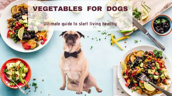 How To Prepare Dogs Friendly Vegetables