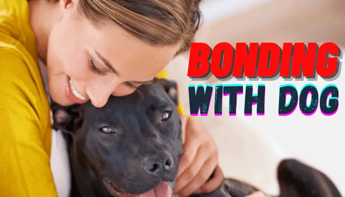 How to bond with your dog
