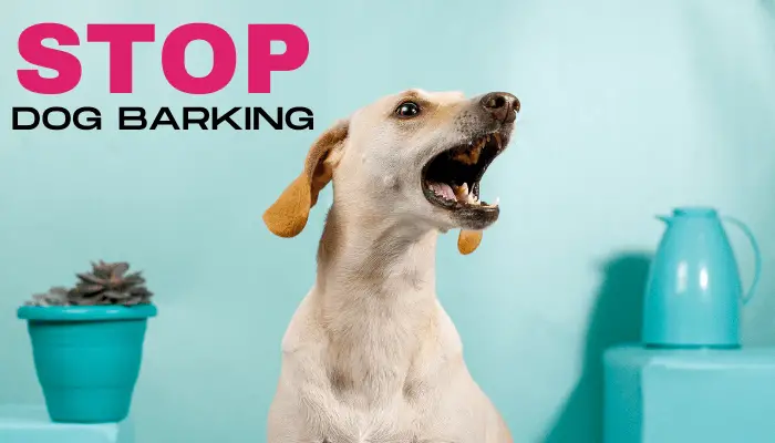 how to make a dog stop barking