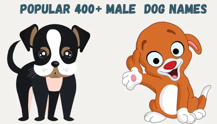 unique male dog names