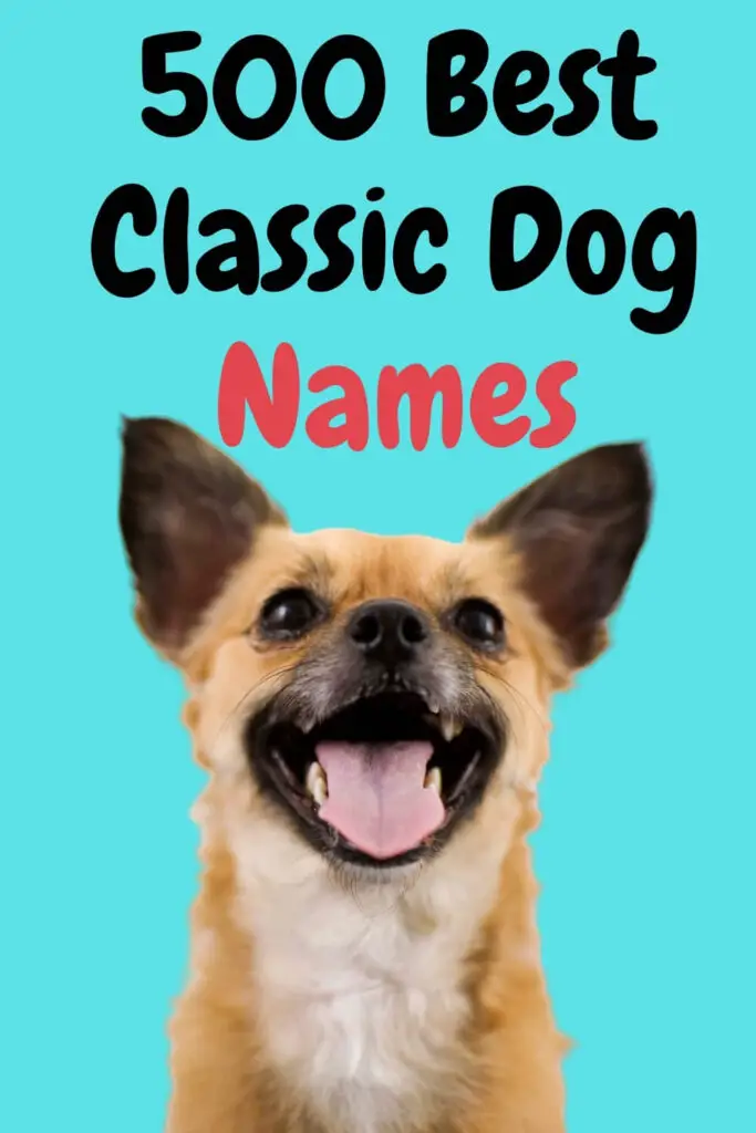 Best classic dog names
