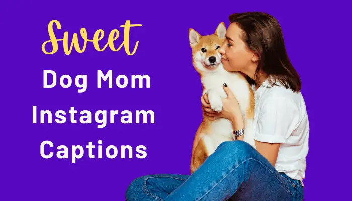 100+ Cute Dog Mom Quotes For Instagram Caption Ideas ...