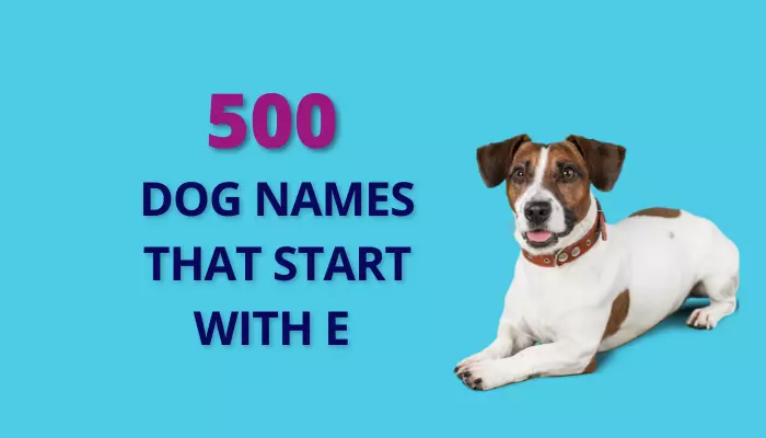 Cute Dog Names starting with e