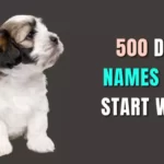 dog names starting with g