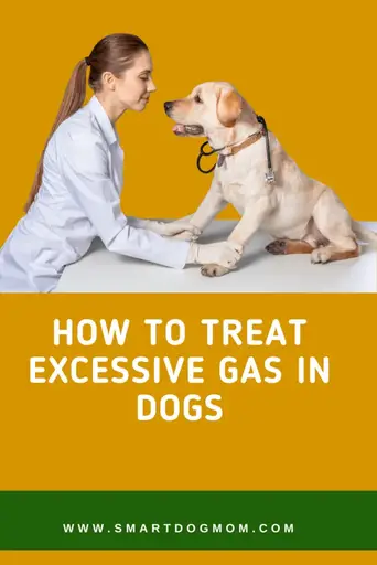 how to treat dogs gas