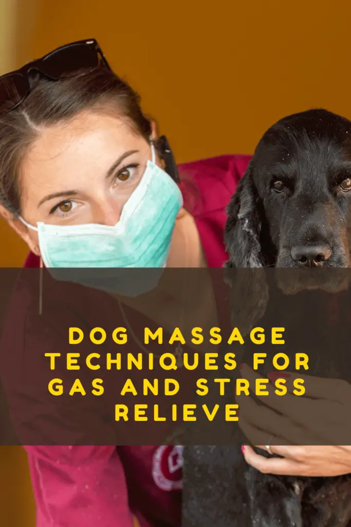 how to massage gas out of dog