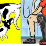 15 Weird Dog Behaviors Explained