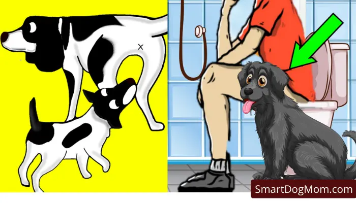 15 Weird Dog Behaviors Explained