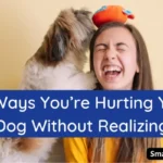 25 Ways You’re Hurting Your Dog Without Realizing