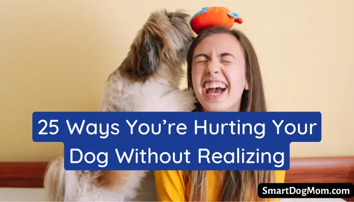 25 Ways You’re Hurting Your Dog Without Realizing