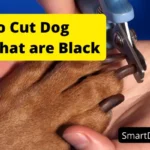How to Cut Dog Nails That are Black and Overgrown