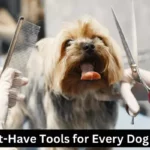 10 Essential Grooming Tools Every Dog Owner Should Have